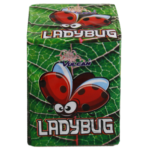 LADYBUG