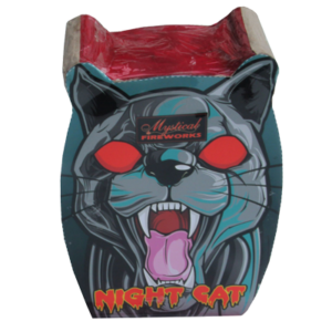 NIGHT CAT
