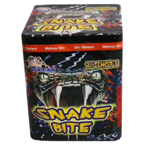 SNAKE BITE