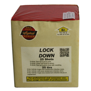 LOCK DOWN