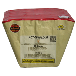 ACT OF VALOUR