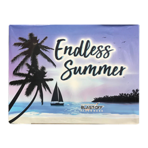 ENDLESS SUMMER *