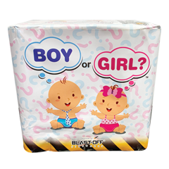 BOY OR GIRL FINALE CAKE *