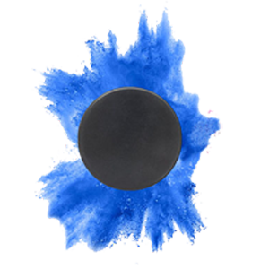 GENDER REVEAL HOCKEY PUCK - BLUE (2 PCS)