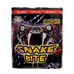 SNAKE BITE