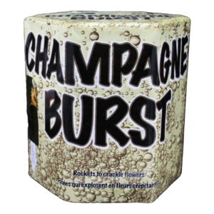CHAMPAGNE BURST CAKE