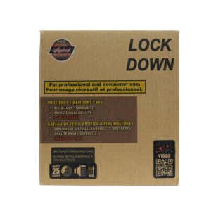 LOCK DOWN