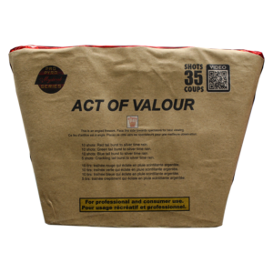 ACT OF VALOUR