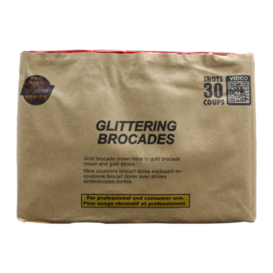 GLITTERING BROCADES