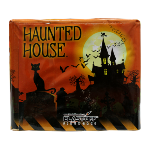 HAUNTED HOUSE *