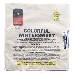 COLORFUL WINTERSWEET